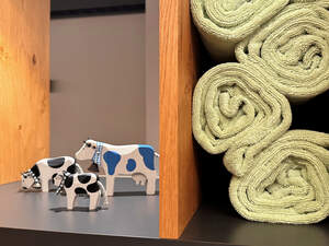 Spa-Bereich mit Whirlpool und Sauna