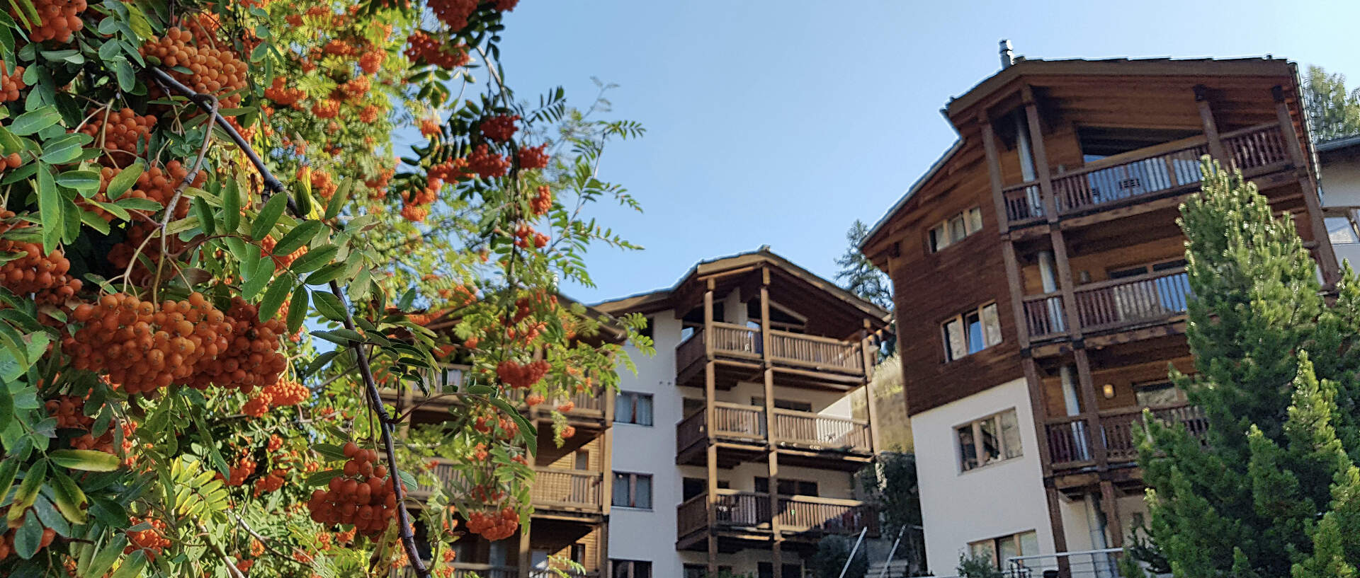 Ari Resort - Zermatt